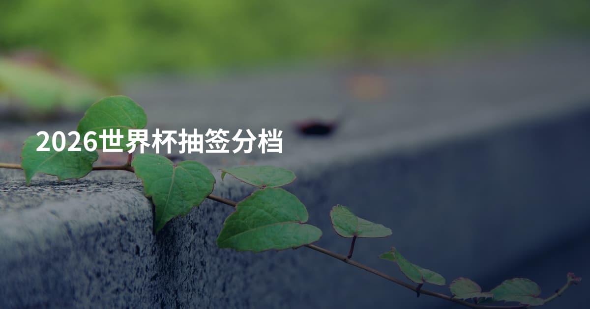 2026世界杯抽签分档