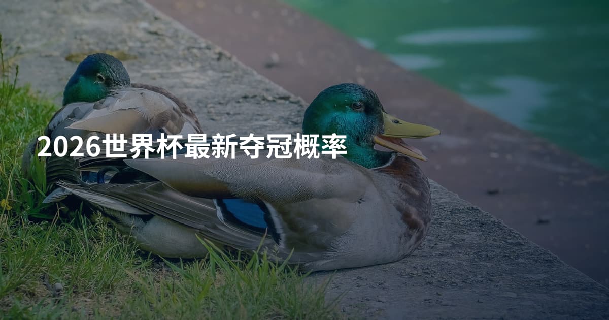 2026世界杯最新夺冠概率