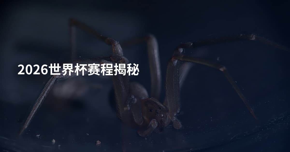 2026世界杯赛程揭秘