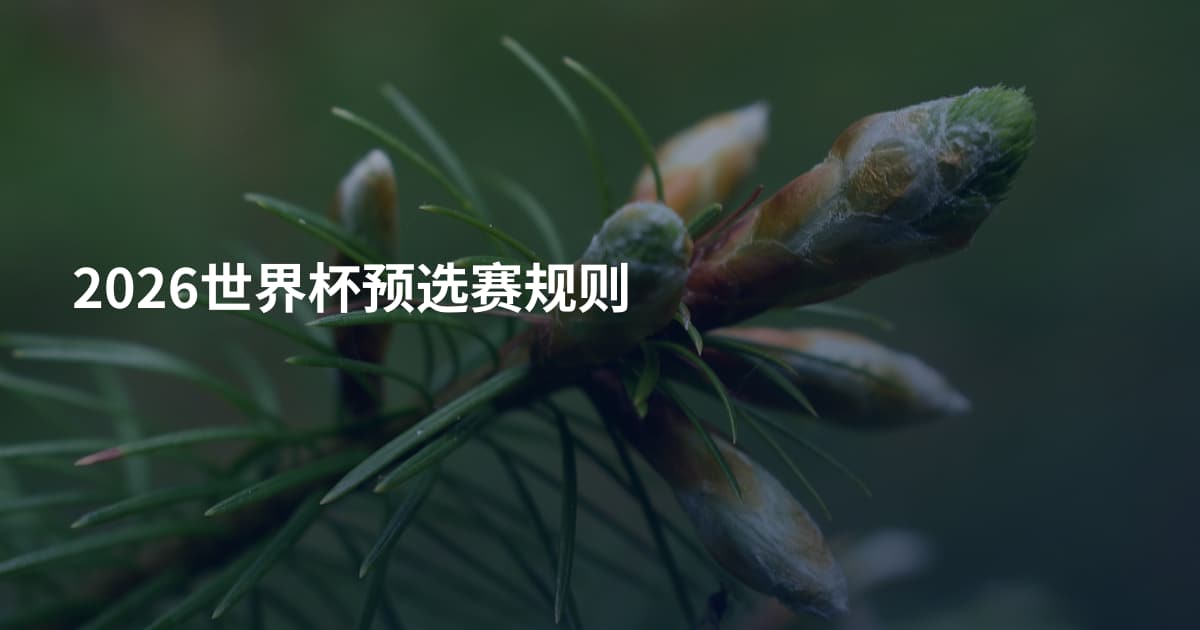 2026世界杯预选赛规则
