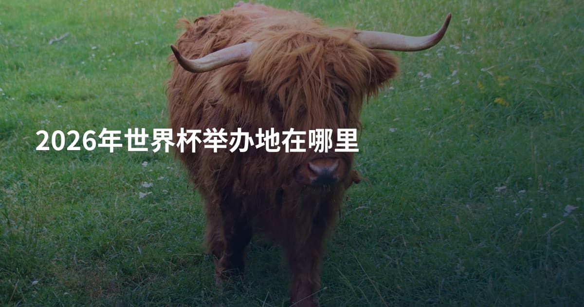 2026年世界杯举办地在哪里