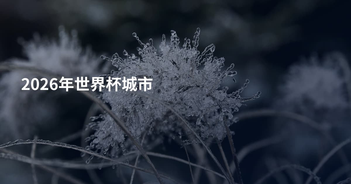 2026年世界杯城市