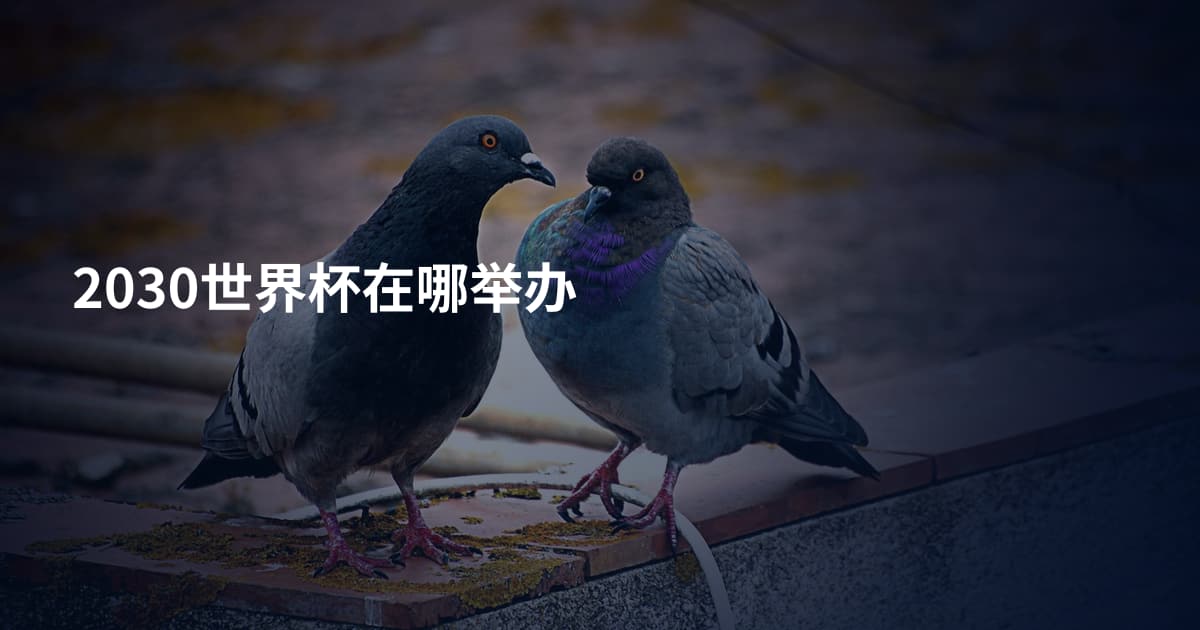 2030世界杯在哪举办