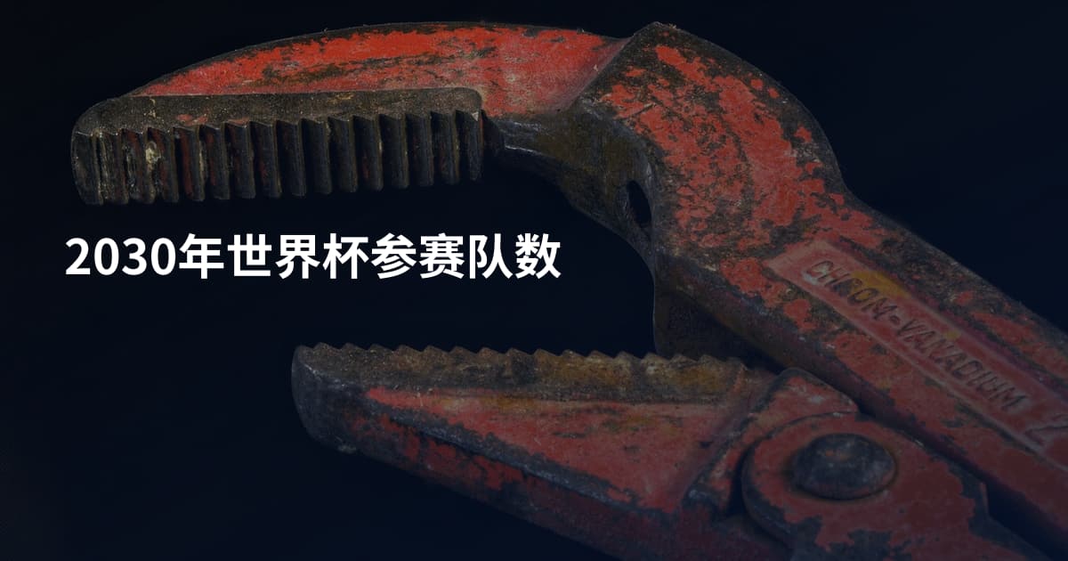 2030年世界杯参赛队数