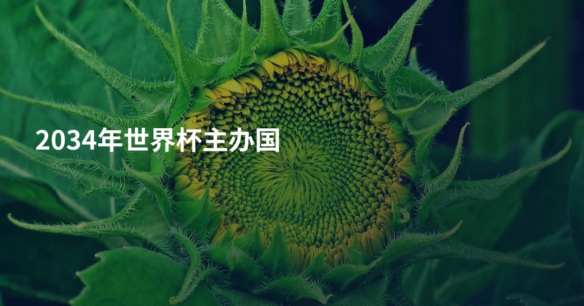 2034年世界杯主办国
