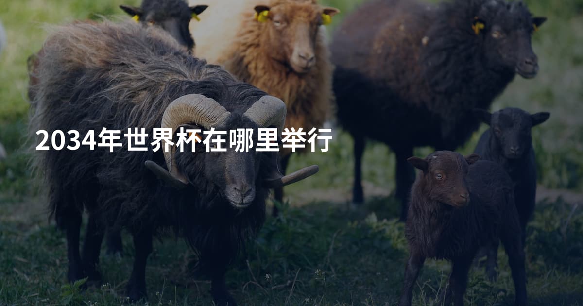 2034年世界杯在哪里举行