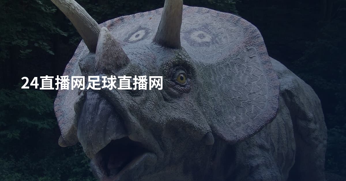 24直播网足球直播网