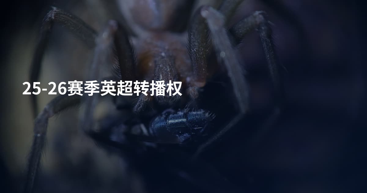25-26赛季英超转播权