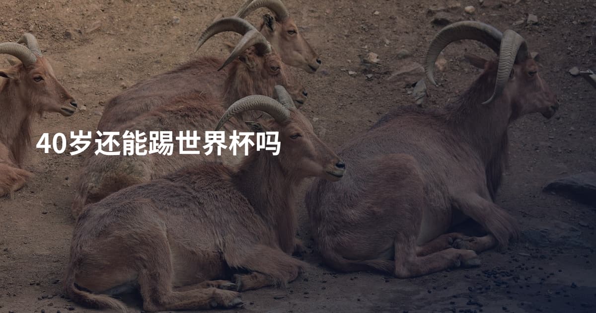 40岁还能踢世界杯吗