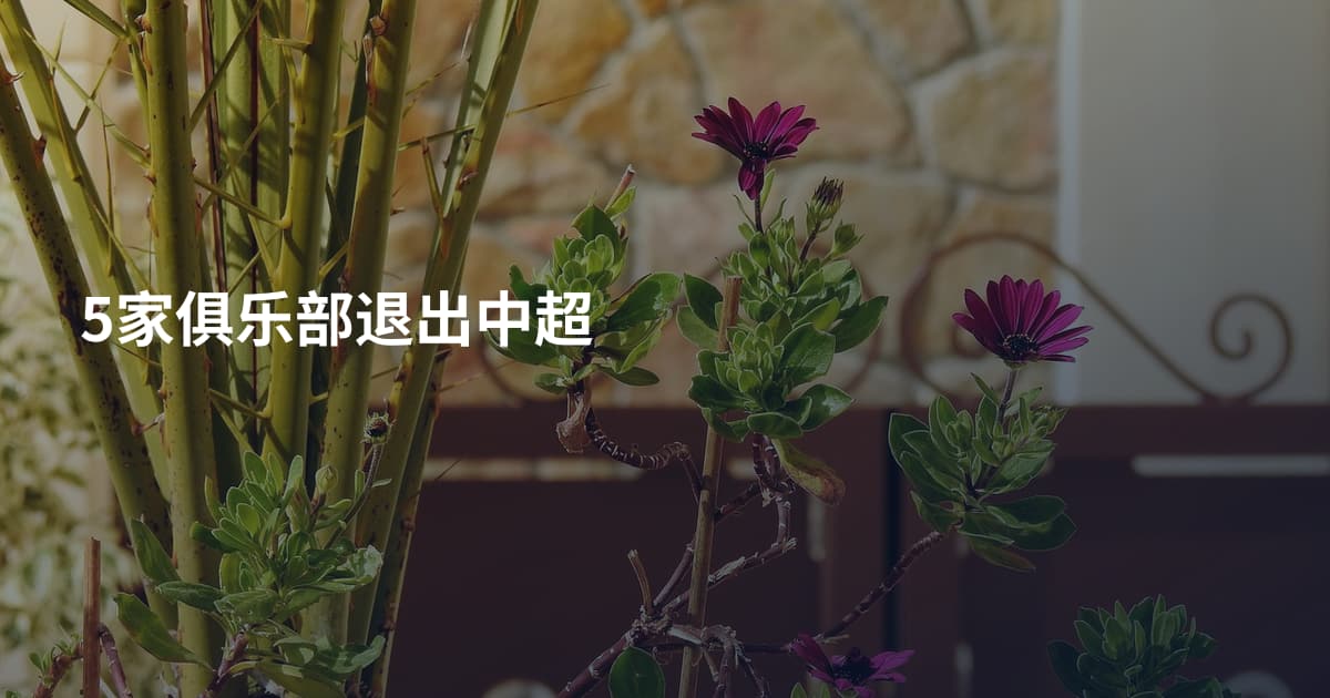 5家俱乐部退出中超