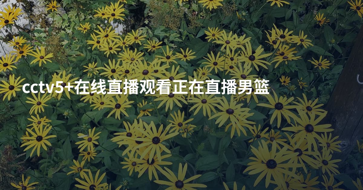 cctv5+在线直播观看正在直播男篮