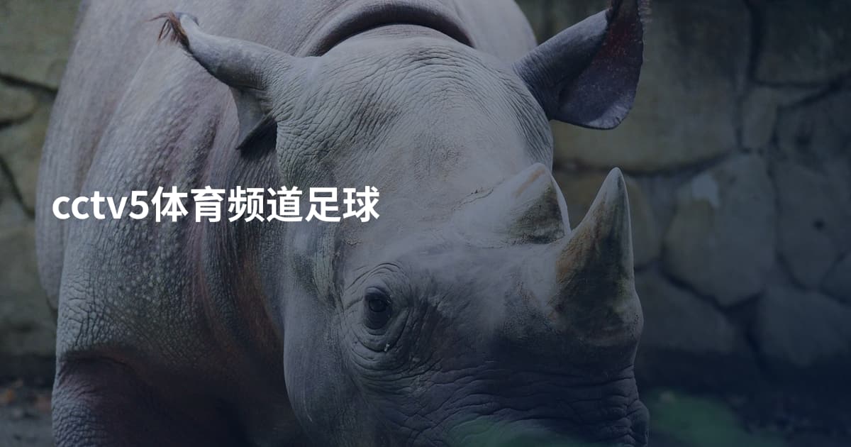 cctv5体育频道足球