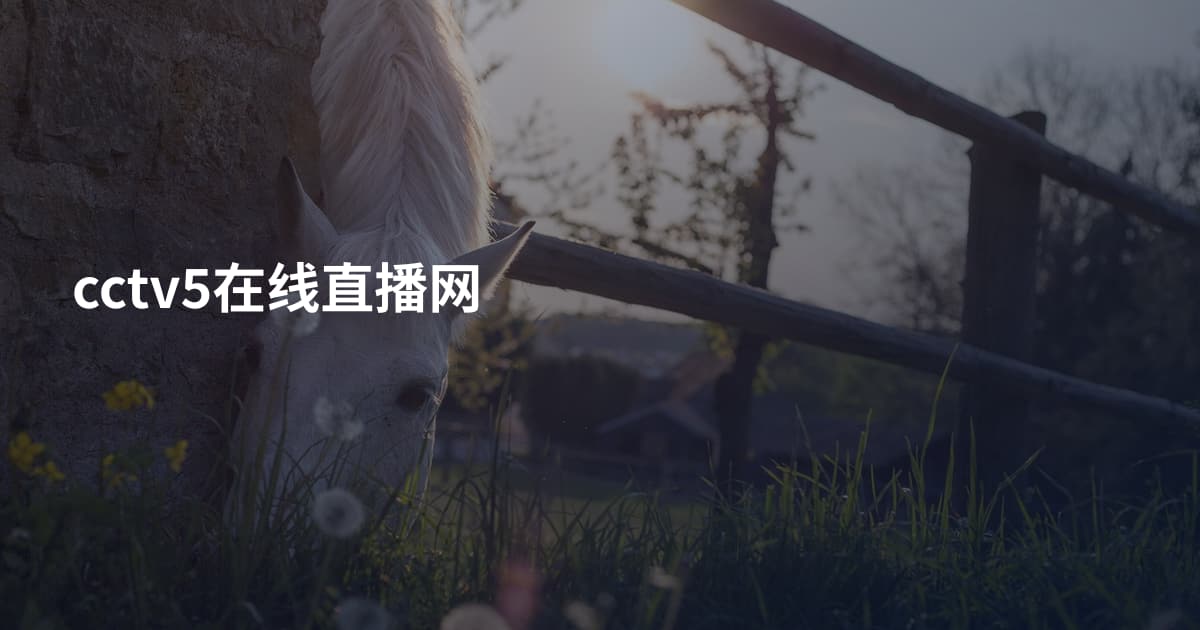 cctv5在线直播网