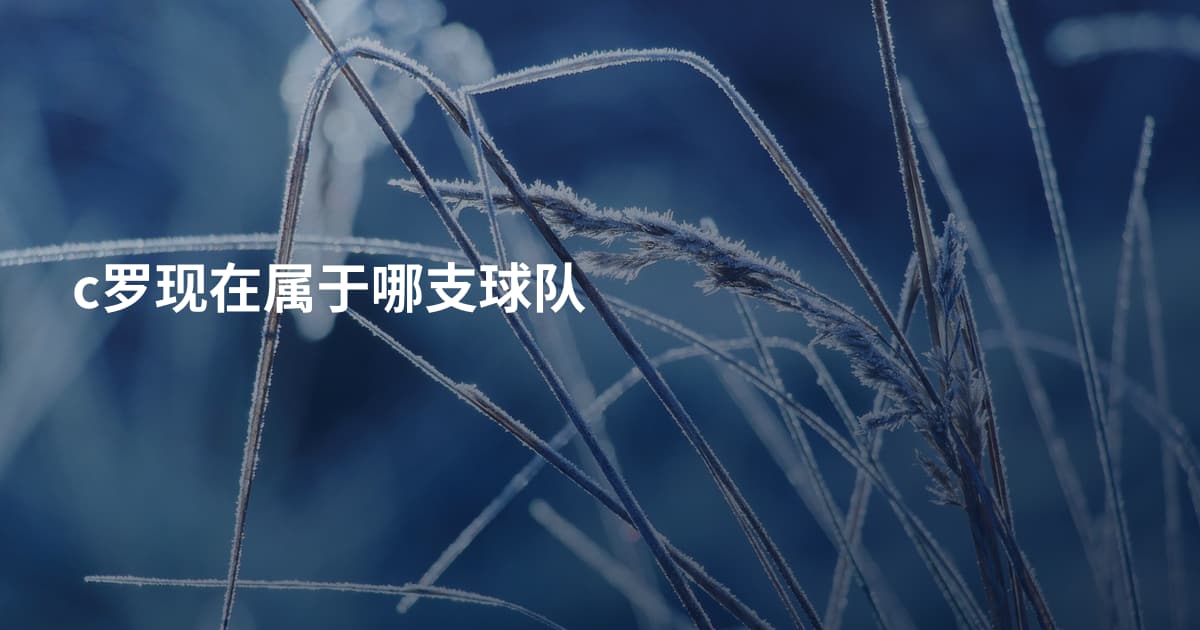 c罗现在属于哪支球队