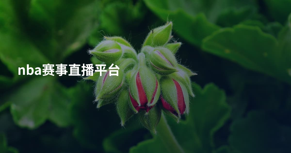 nba赛事直播平台