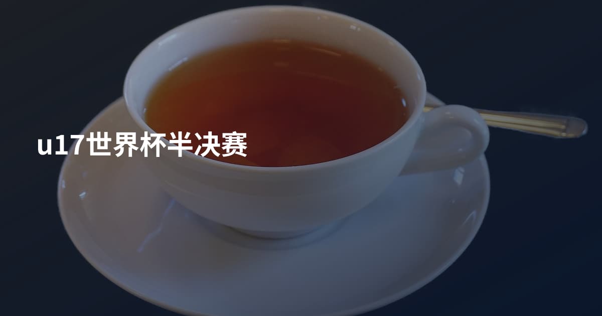 u17世界杯半决赛