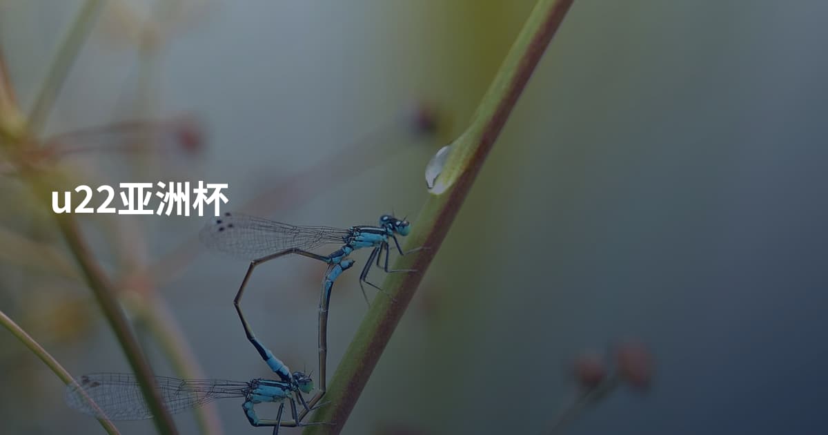 u22亚洲杯