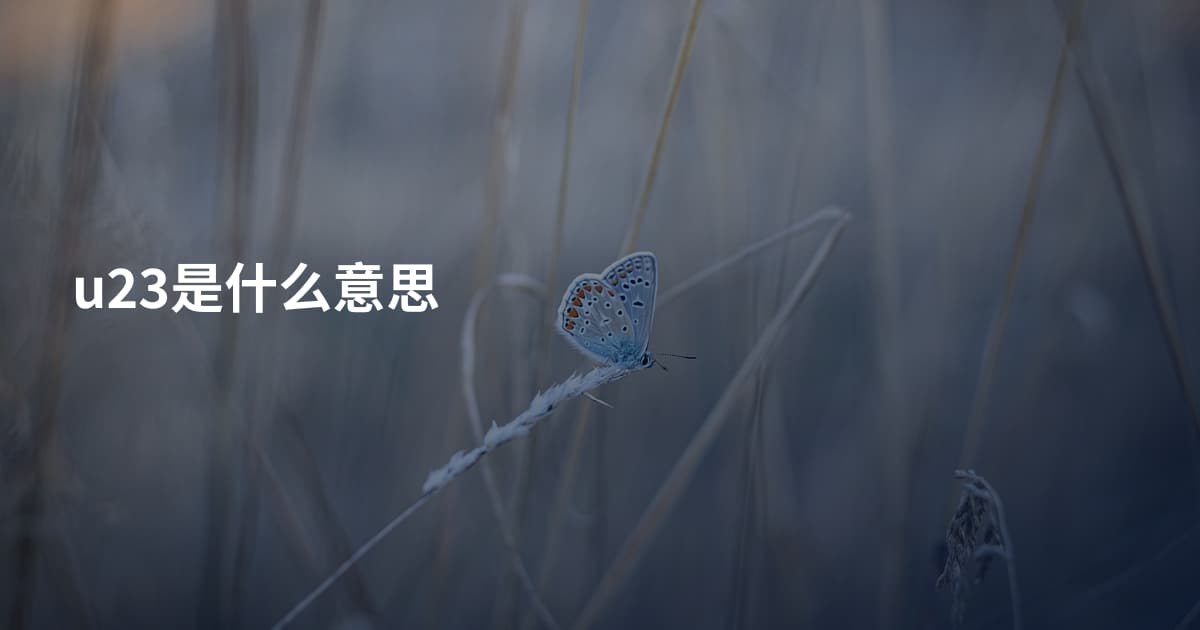 u23是什么意思