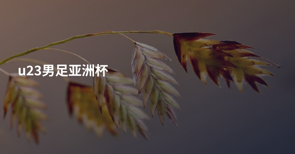 u23男足亚洲杯