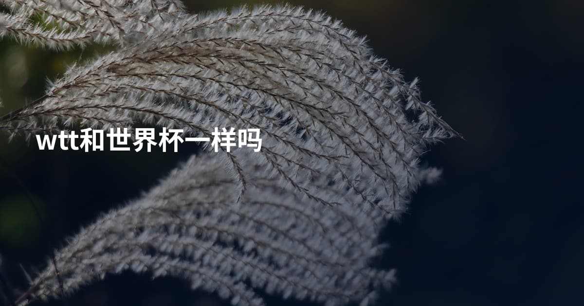 wtt和世界杯一样吗