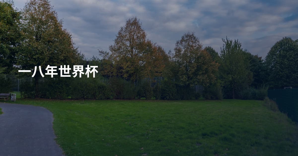 一八年世界杯