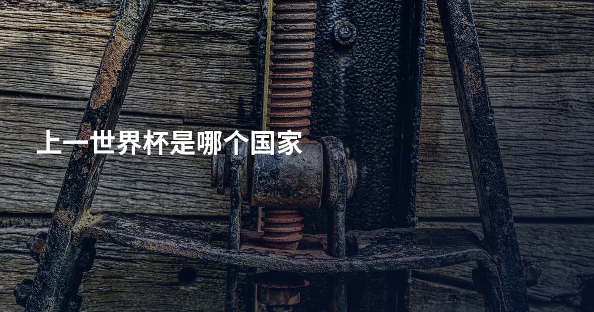 上一世界杯是哪个国家
