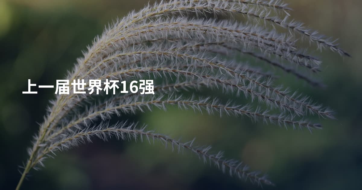 上一届世界杯16强