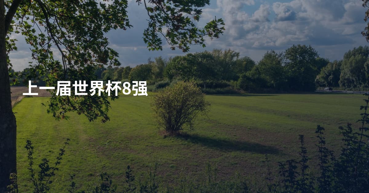 上一届世界杯8强