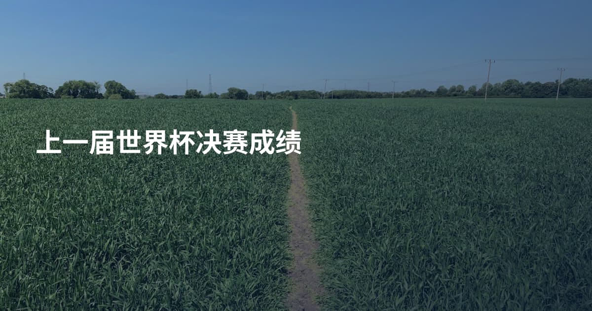 上一届世界杯决赛成绩