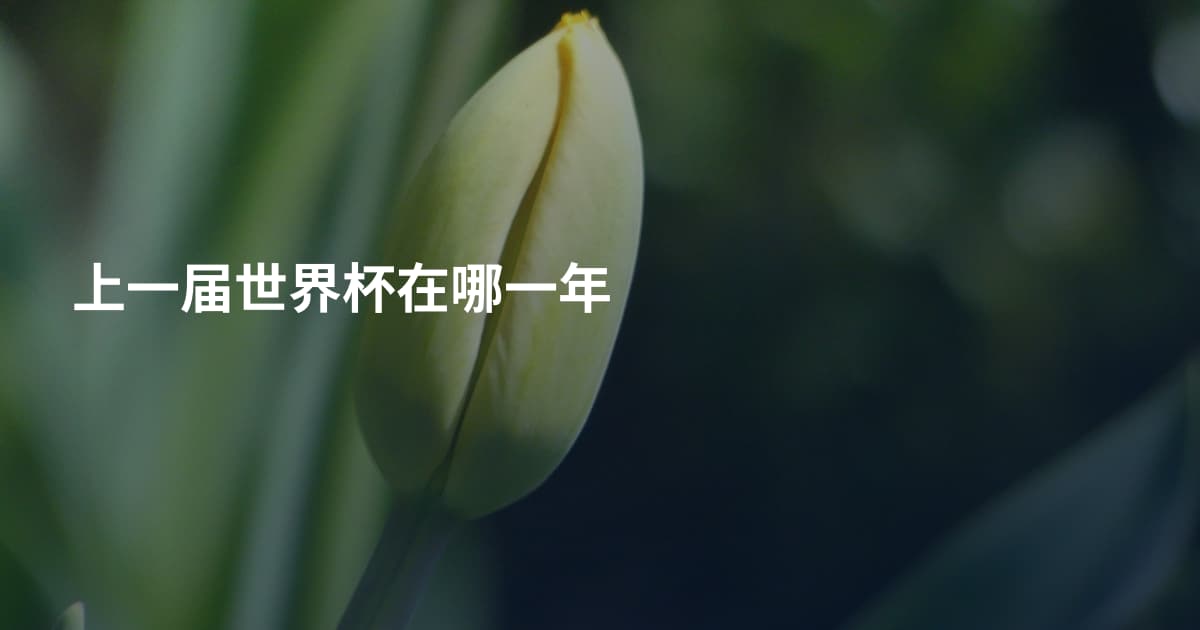 上一届世界杯在哪一年