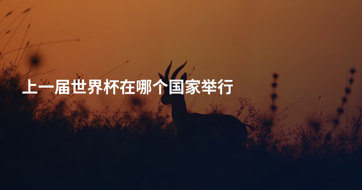 上一届世界杯在哪个国家举行