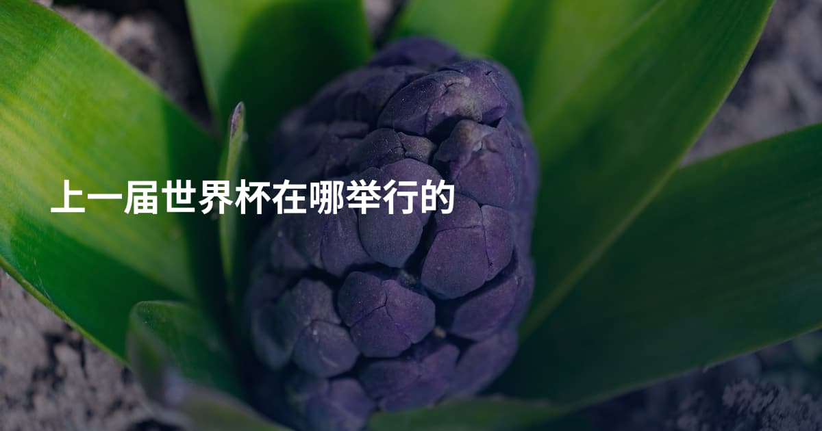 上一届世界杯在哪举行的