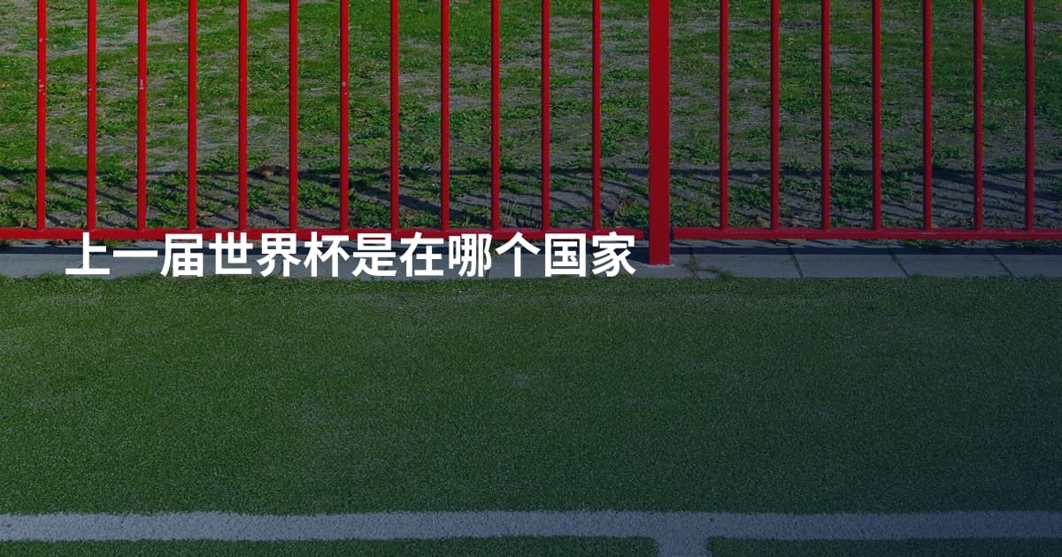 上一届世界杯是在哪个国家
