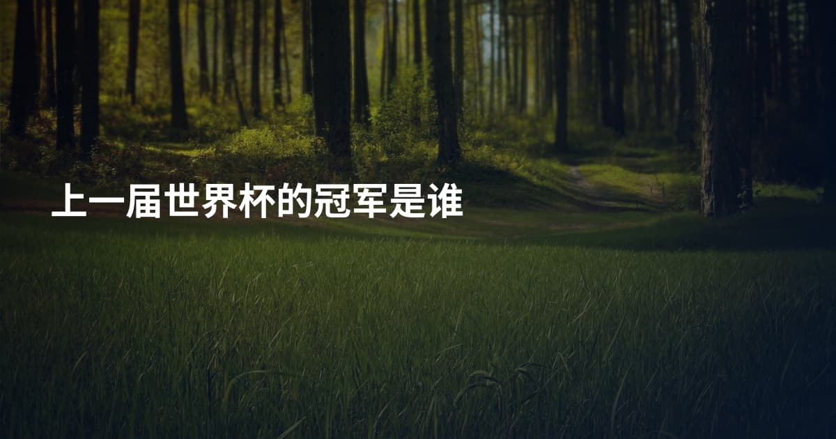 上一届世界杯的冠军是谁