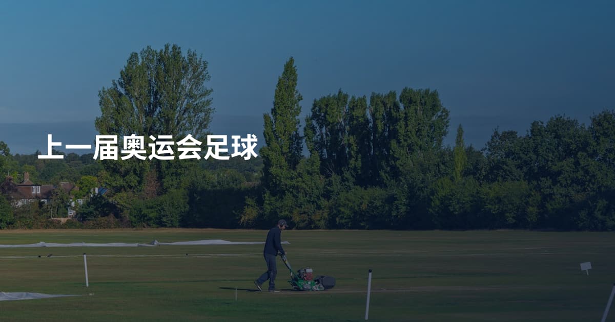 上一届奥运会足球