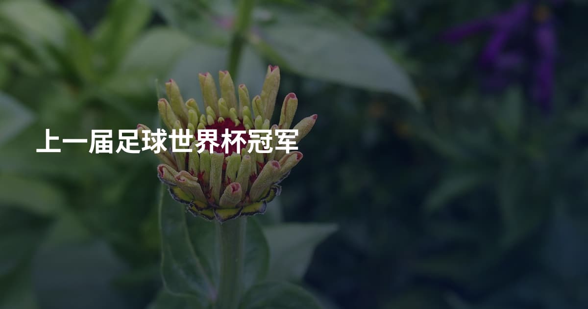 上一届足球世界杯冠军