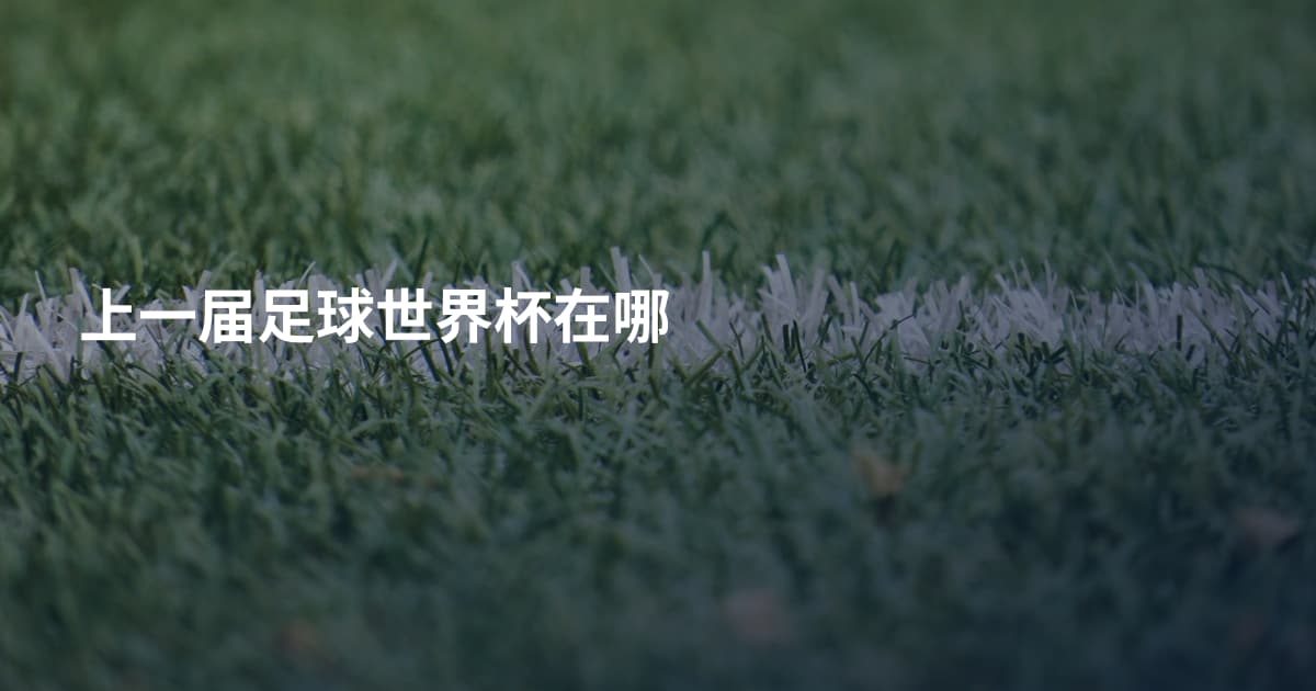 上一届足球世界杯在哪