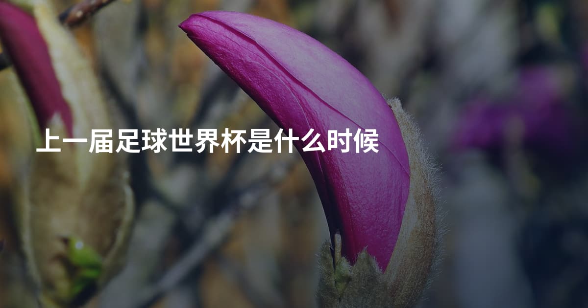 上一届足球世界杯是什么时候