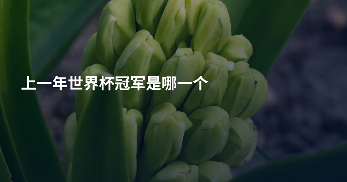 上一年世界杯冠军是哪一个