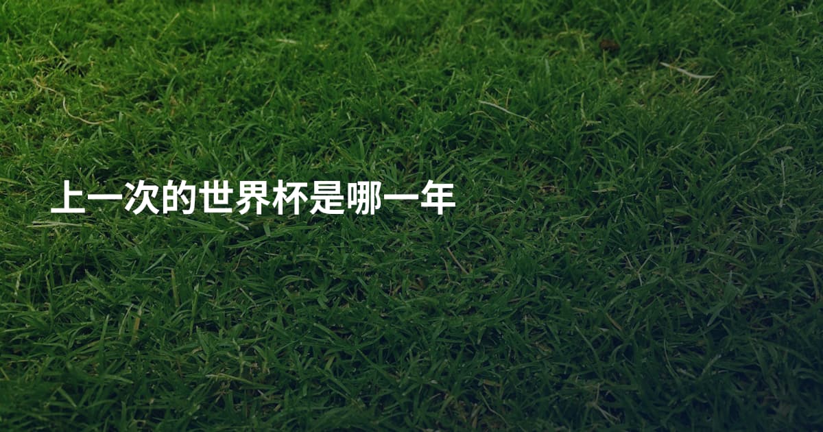 上一次的世界杯是哪一年