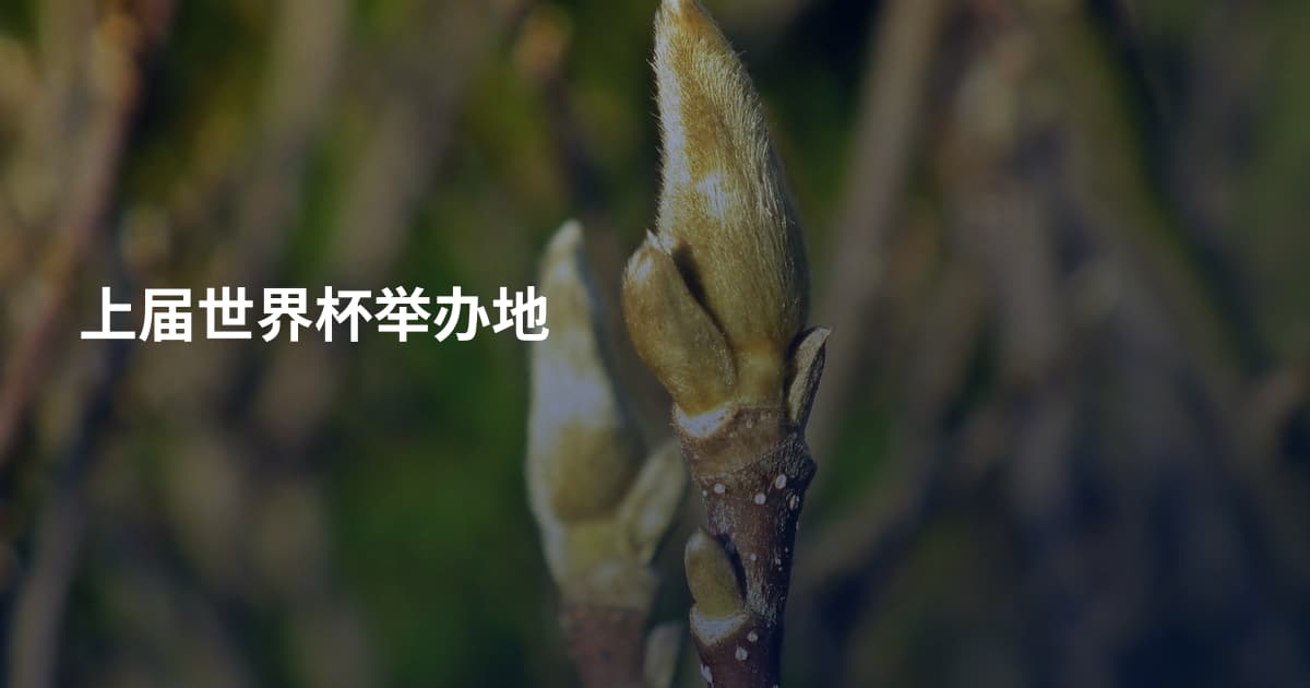 上届世界杯举办地