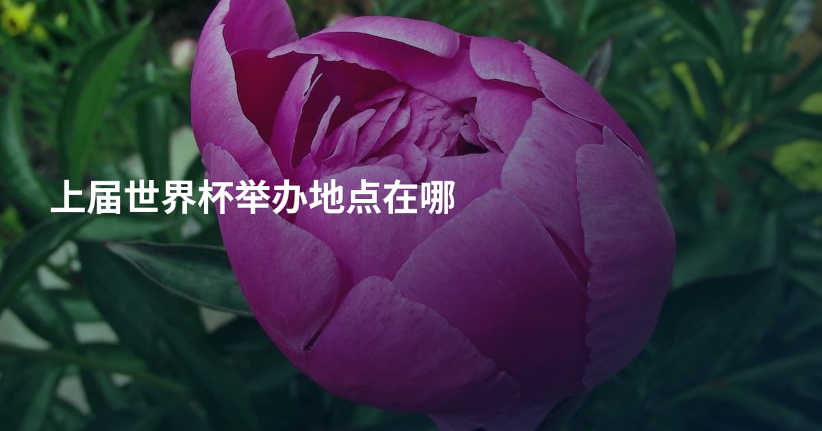 上届世界杯举办地点在哪