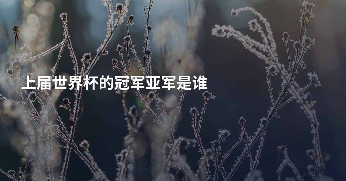 上届世界杯的冠军亚军是谁