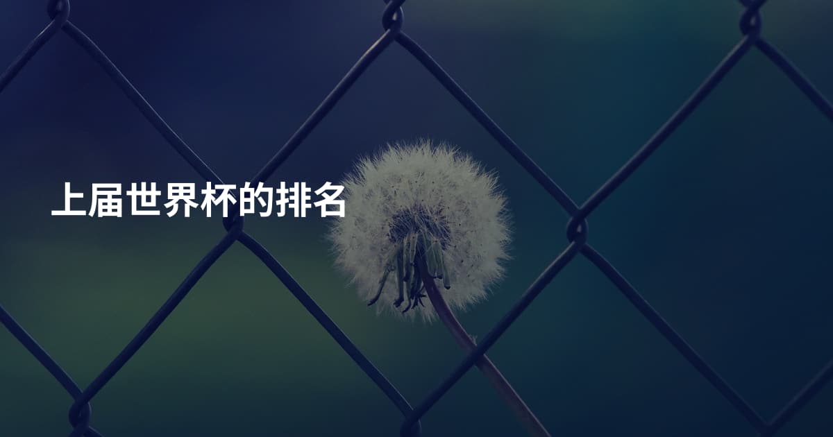 上届世界杯的排名