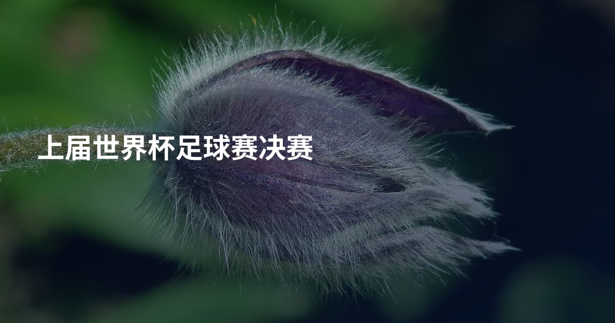 上届世界杯足球赛决赛