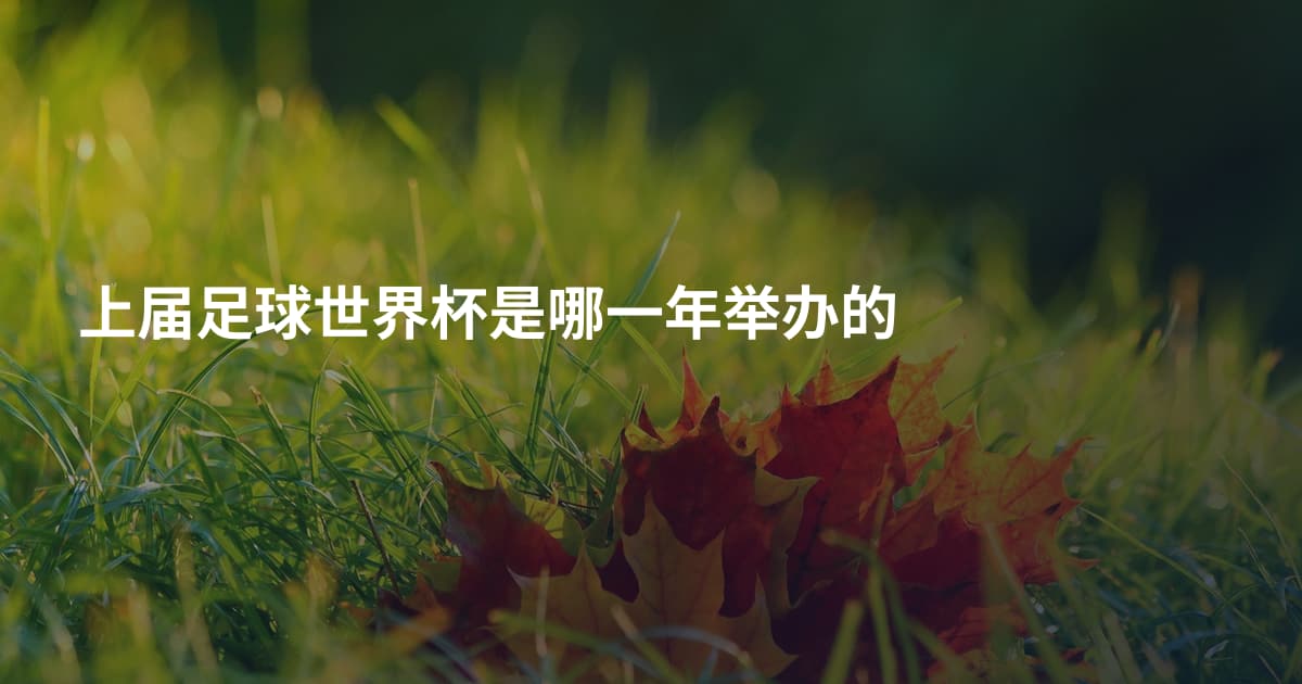 上届足球世界杯是哪一年举办的