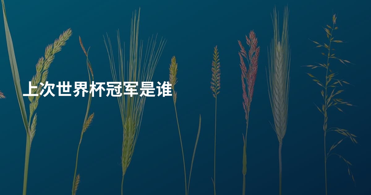 上次世界杯冠军是谁