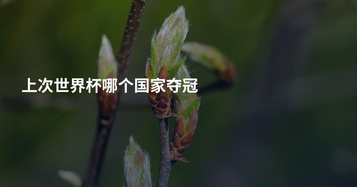 上次世界杯哪个国家夺冠