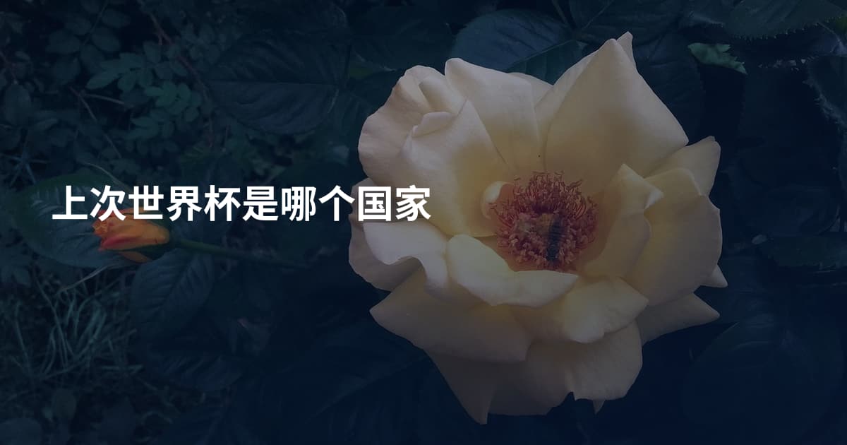 上次世界杯是哪个国家