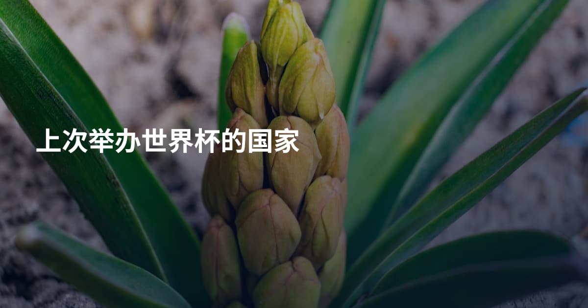 上次举办世界杯的国家
